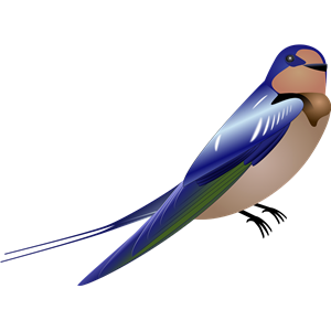 Swallow PNG-67360